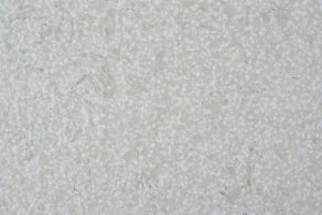 finitura-bianco-bocciardato
